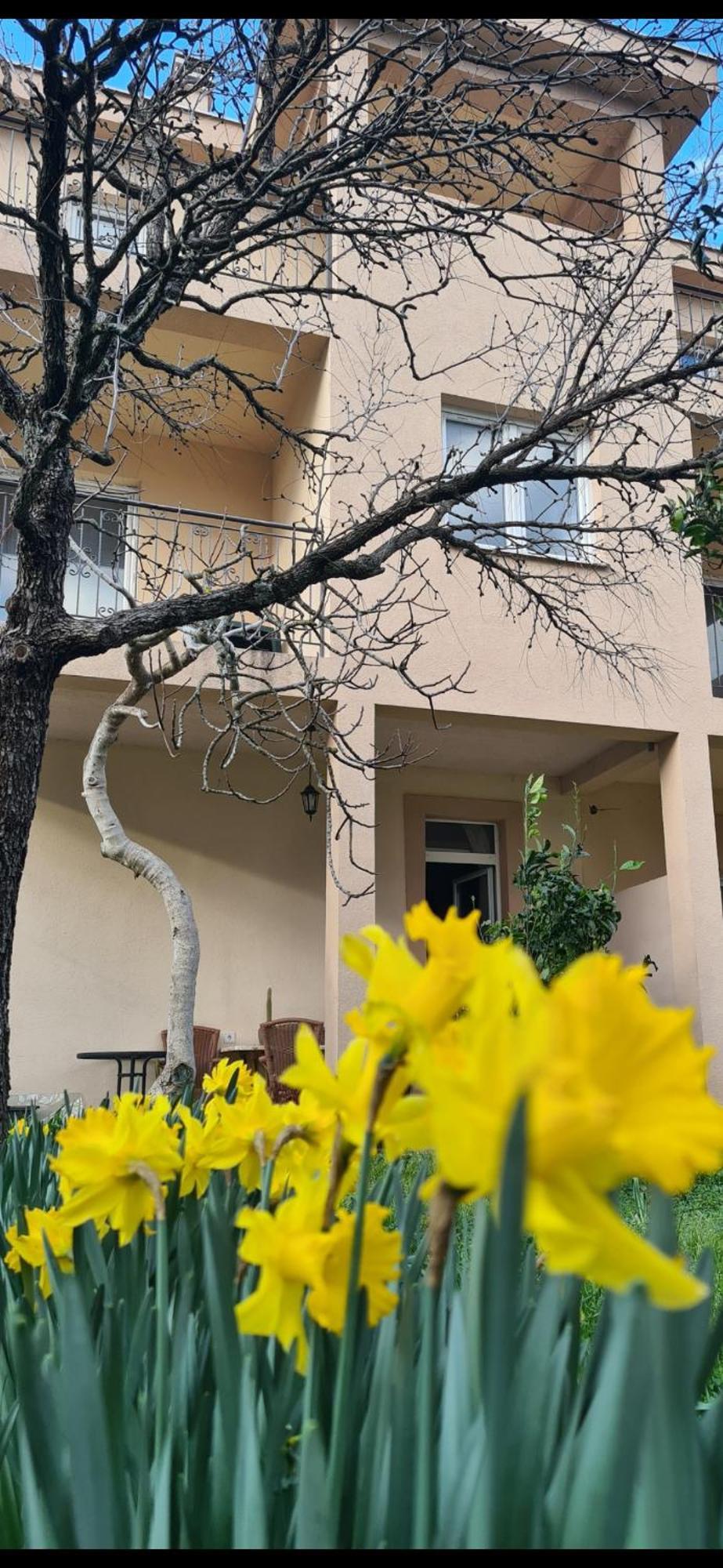 Apartament Casa M Tivat Zewnętrze zdjęcie