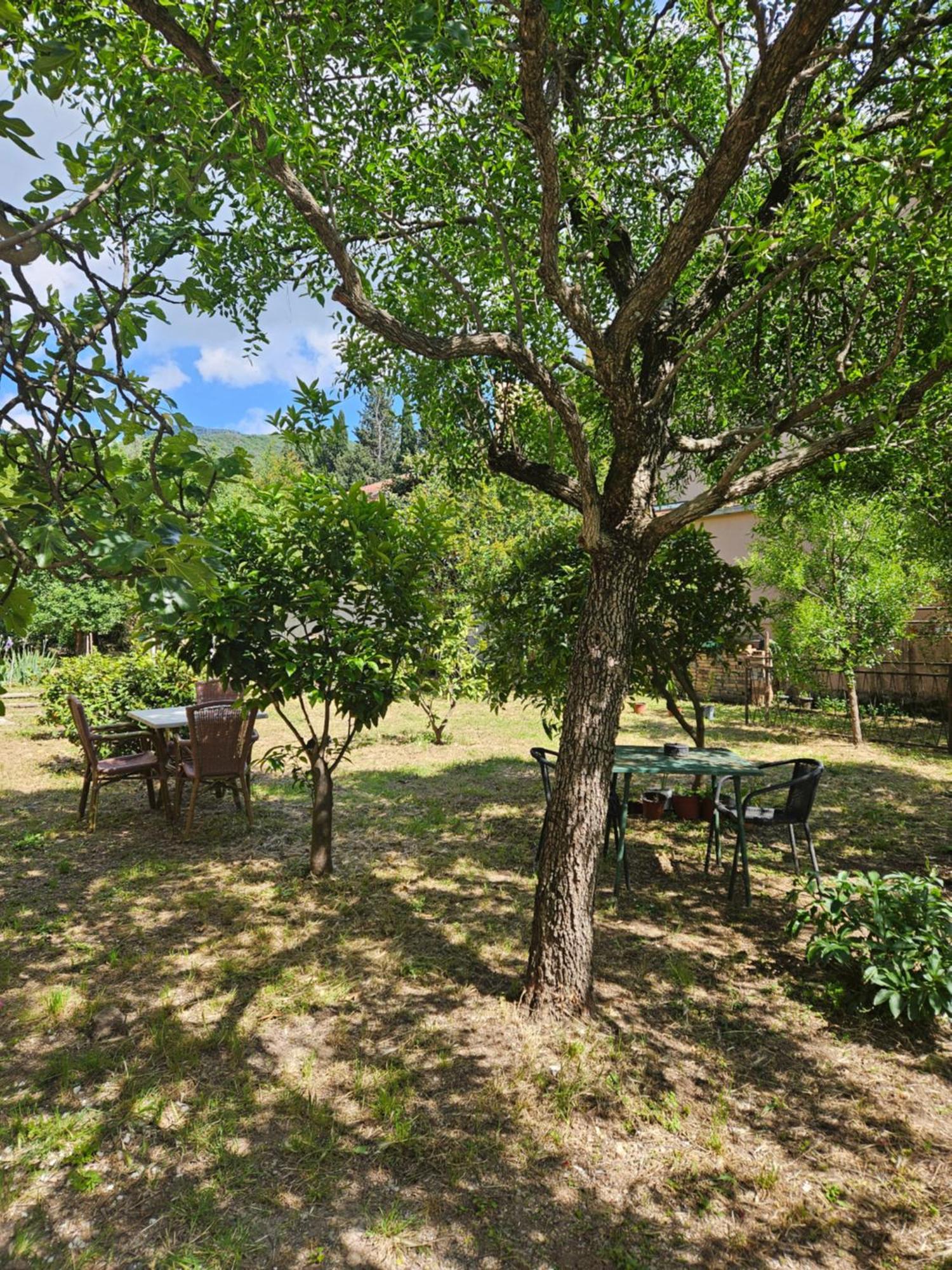 Apartament Casa M Tivat Zewnętrze zdjęcie